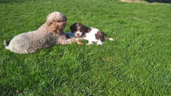 Papa Coco und Tochter Kylie